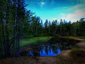 Scenic view of lake in forest against sky