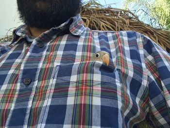 Low angle view of bird perching on cable