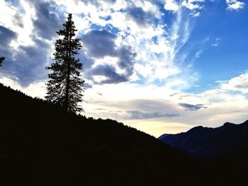 Silhouette trees on mountain against sky