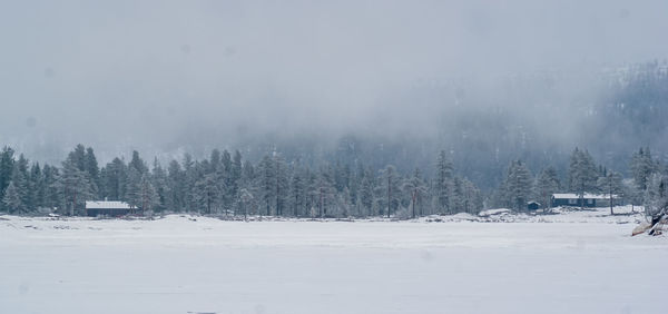 View of snow covered landscape