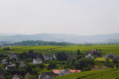 Houses on field by buildings against sky