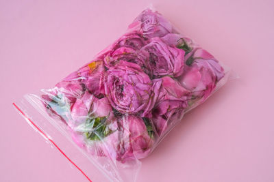 High angle view of pink roses against white background