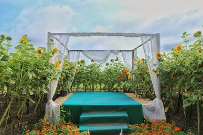 Plants by swimming pool against sky