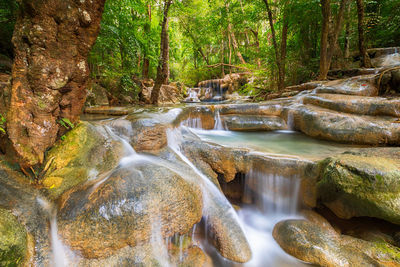 Scenic view of waterfall in forest