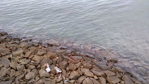 High angle view of rocks on beach
