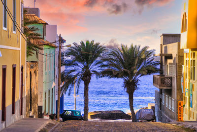 Road by palm trees and buildings against sky during sunset