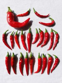 Close-up of red chili pepper against white background