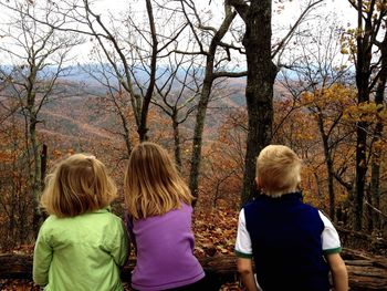 Rear view of children in forest during autumn