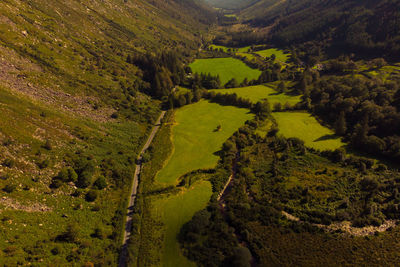 High angle view of trees on field