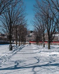 winter