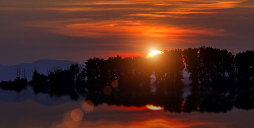 Silhouette trees against sky during sunset