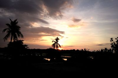 Silhouette palm trees against sky during sunset