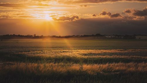 Scenic view of field against sky during sunset