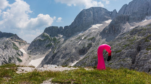 Inflatable flamingo on field by mountains against sky