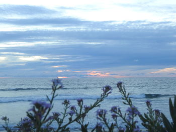 Scenic view of sea against sky