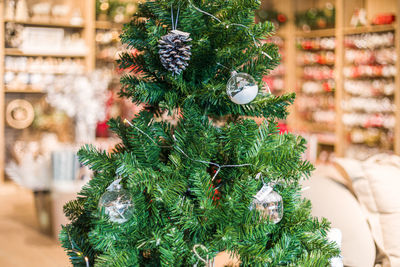 Close-up of christmas tree