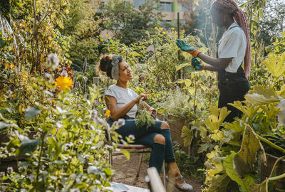 Female farmers talking while working in community garden