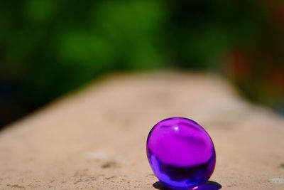 Close-up of multi colored ball on glass