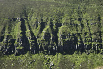 Grassy cliffs in the comeragh mountains