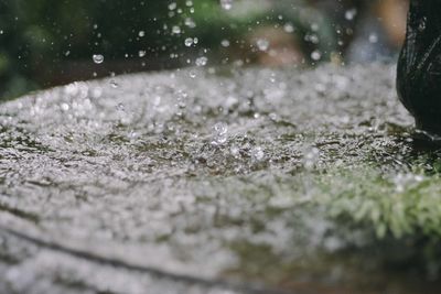 Close-up of water drops on road