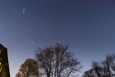 Low angle view of trees against sky at night