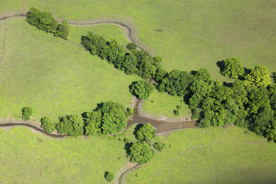 Aerial view of the floodplain on the odra river with the forest and pastures, croatia