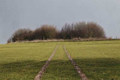 Scenic view of field against clear sky