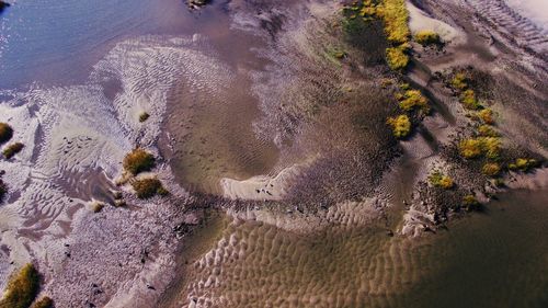 High angle view of beach