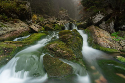 Waterfall in a misty forest iii