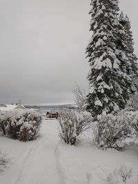 Scenic view of snow covered land against sky