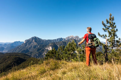 Man standing by plants against mountain range against clear blue sky