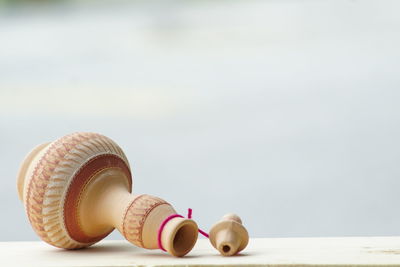 Close-up of seashell on table