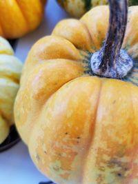 Close-up of pumpkin