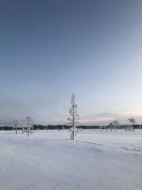 Scenic view of snow covered field against sky