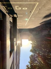 Reflection of buildings and trees in city