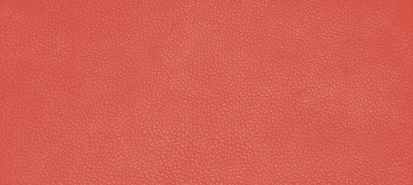 Full frame shot of red surface