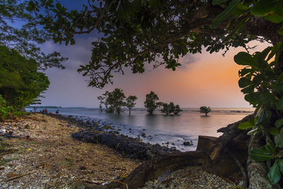 Scenic view of sea against sky during sunset