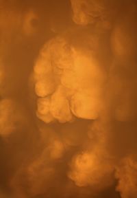 Close-up of orange wall
