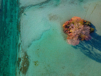 High angle view of rock on sea shore