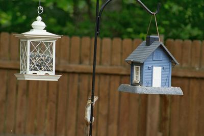 Squirrel on pole amidst birdhouse and feeder