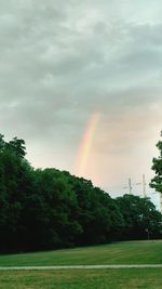 Rainbow over grassy field