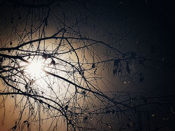 Low angle view of silhouette bare tree against sky at sunset