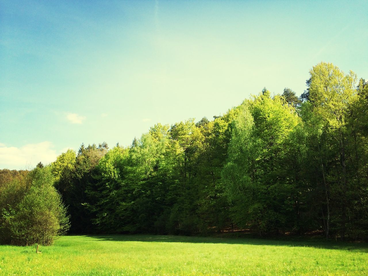 Bischofsheim an der Rhön