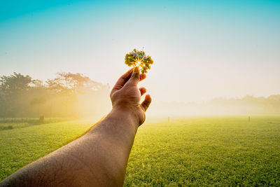 Hand holding flower against sky during sunset