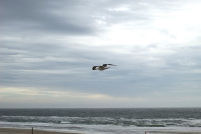 Seagull flying over sea against sky