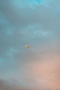 Low angle view of airplane flying in sky