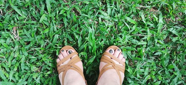 Low section of woman wearing shoes on ground