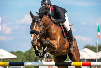 Horse jumping, equestrian sports, show jumping competition themed photograph.