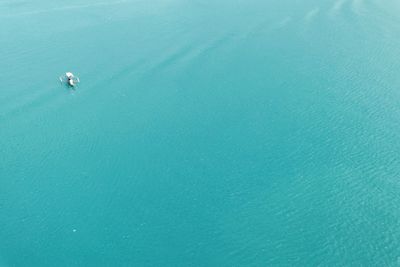 High angle view of person in sea