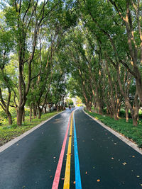 Empty road amidst trees